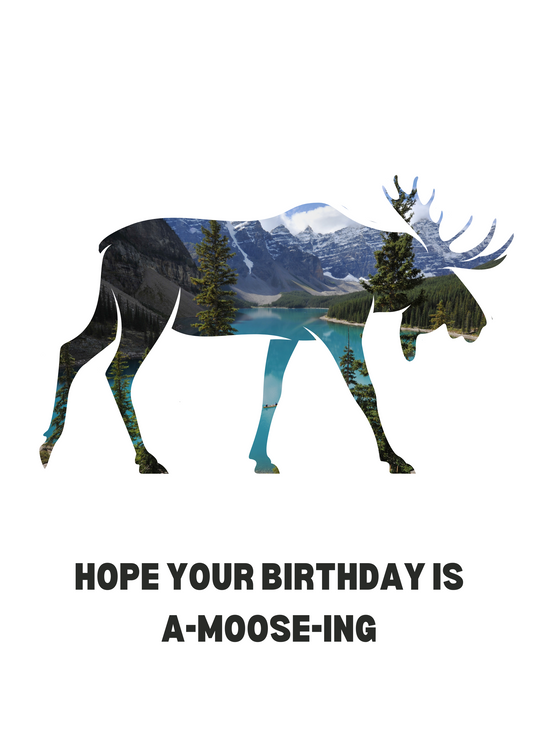 A-MOOSE-ING Birthday