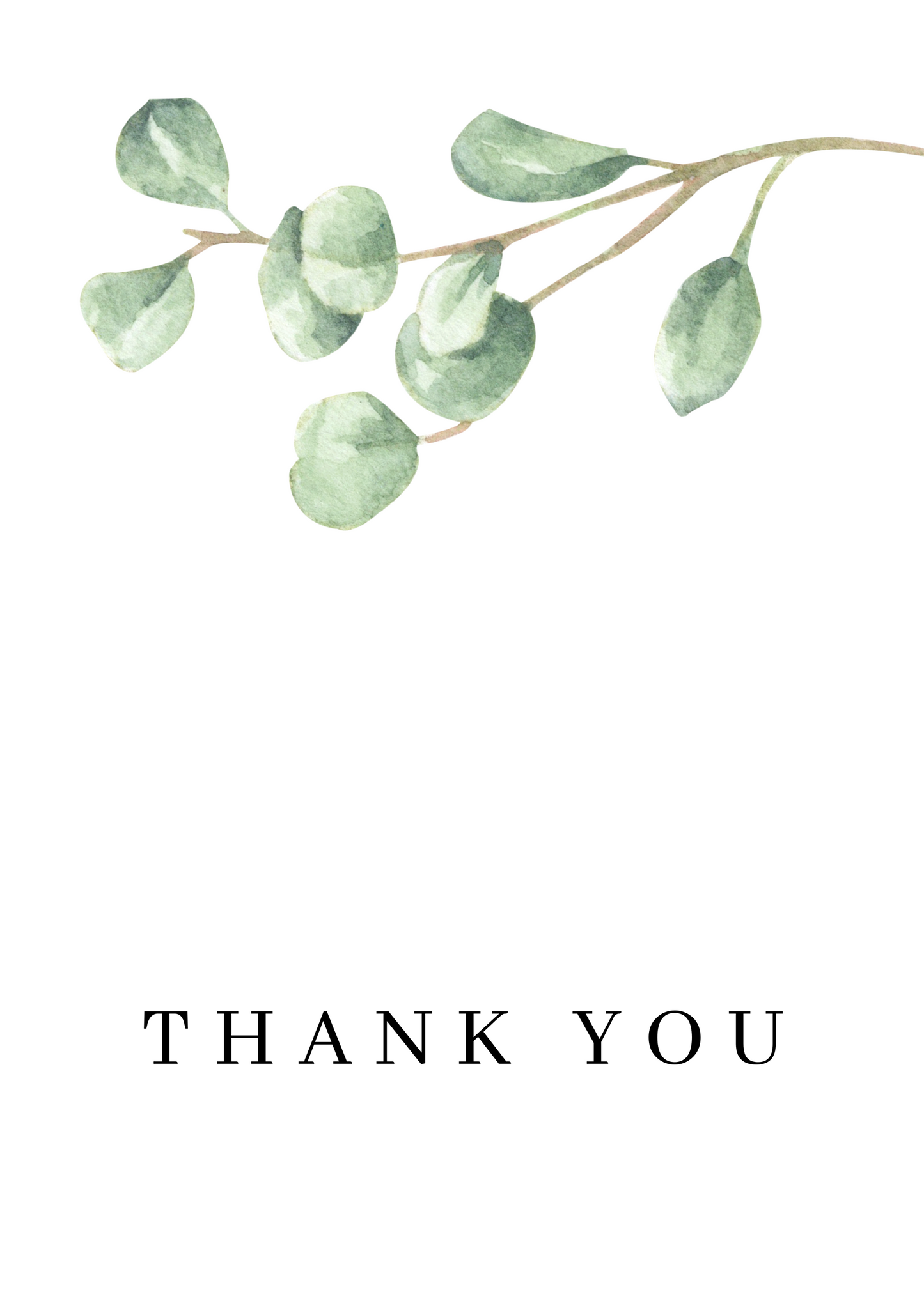 Thank You Eucalyptus Branch Business
