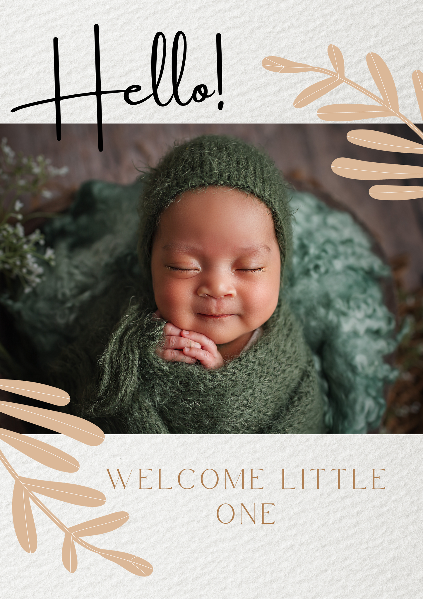 Welcome Little Baby Photo