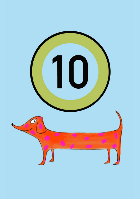 10th Birthday Dog