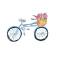 Bicycle Flower Basket