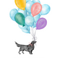 Black Dog Balloons